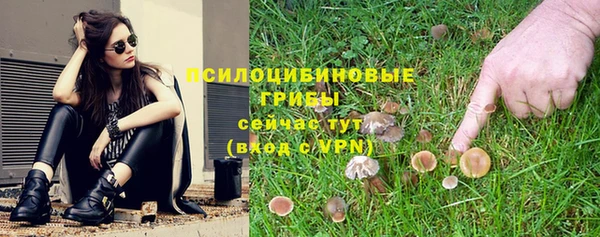 каннабис Алзамай