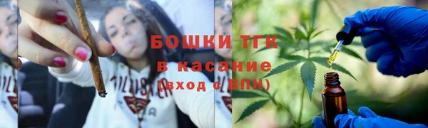 молекула духа Алексеевка