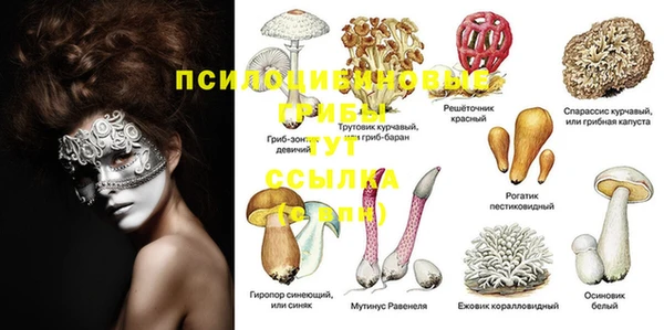 spice Алексин