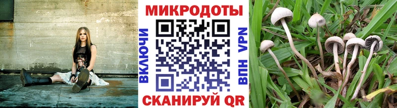 Псилоцибиновые грибы прущие грибы  даркнет формула  kraken ТОР  Анапа  как найти закладки 